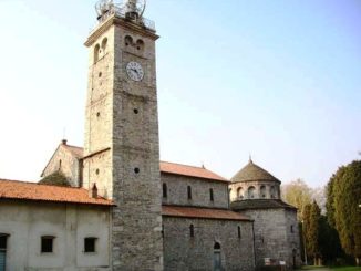 maggio arnolfiano arsago