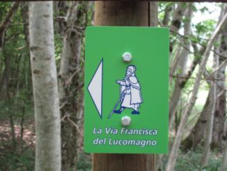 abbiategrasso commercio esercizi viafranciscadellucomagno