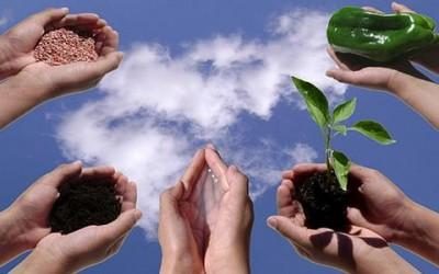agricoltura sostenibile marnate
