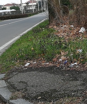 busto immondizia erbacce 1