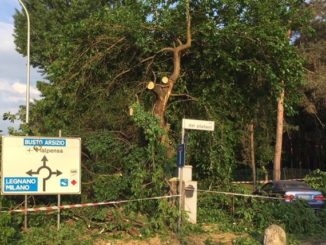 castellanza fulmine provinciale