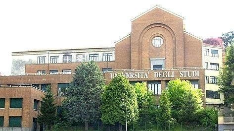 varese presidente istat