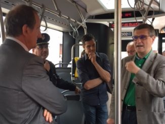 bus busto vandali