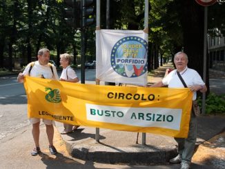 busto rotonda borri