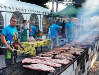 alpini festa somma