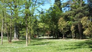 gallarate potature parco bassetti