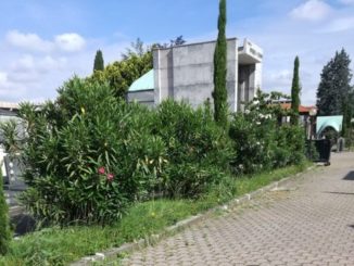 degrado cimitero castellanza