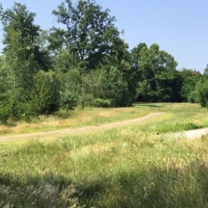 degrado parco altomilanese