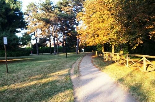 lavori parco sempione