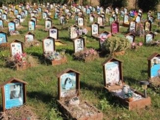 mozione cimitero animali