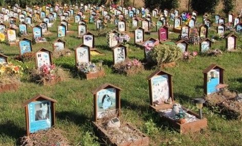 mozione cimitero animali