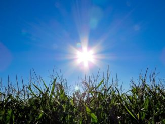 sole rialzo temperatura