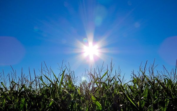 sole rialzo temperatura