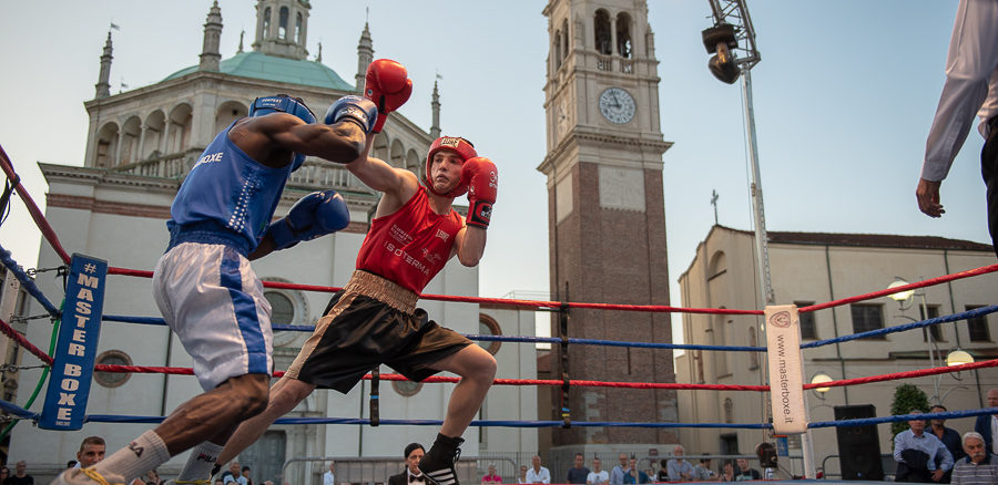 busto boxe bisterzo