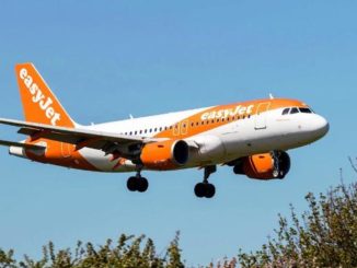 birdstrike easyjet malpensa