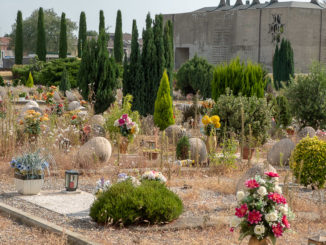 cimitero busto erbacce
