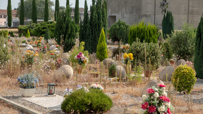 cimitero busto erbacce