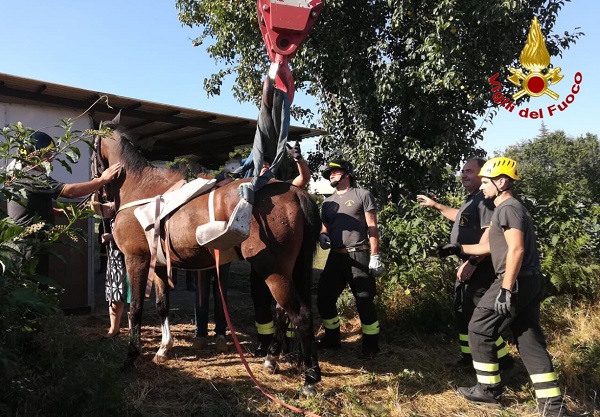 solbiate cavallo buca