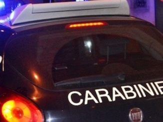 movida busto arresti