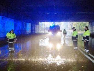 protezione civile gallarate