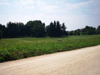 boschina gallarate