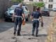 nord polizia locale