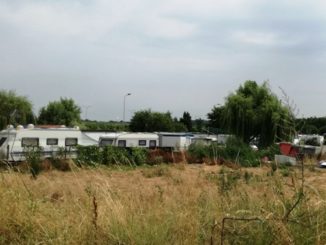 sinti gallarate adottateli