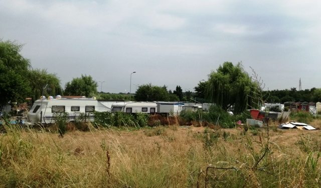 sinti gallarate adottateli