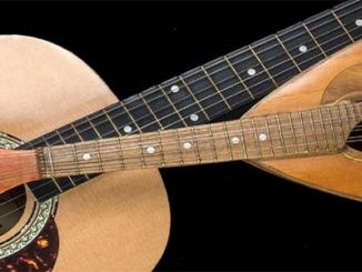 concerto mandolino busto