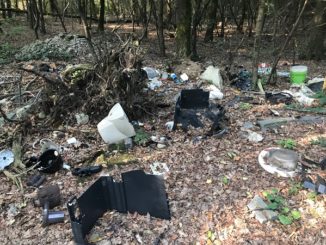 boschi discariche altomilanese