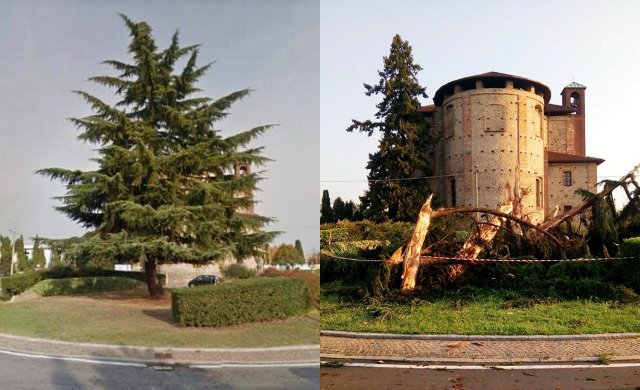 cedro somma regione