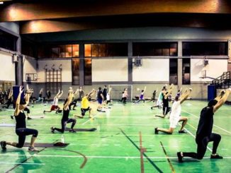 palestre provincia gallarate