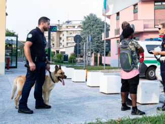 cani-sicurezza-castano
