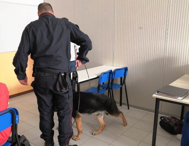 droga scuola cassano 