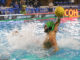 pallanuotobusto sport management Luongo