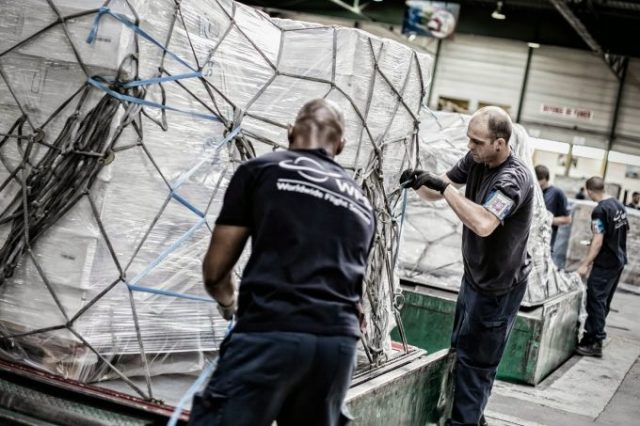 wfs cargo malpensa