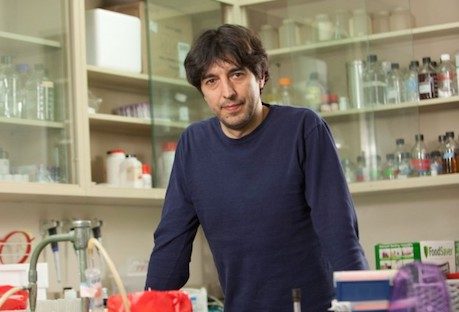longo dieta teatrino