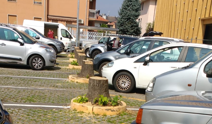 strage tigli coop