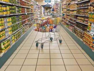 lidl assunzioni busto