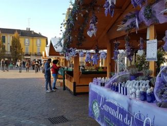 trentino piazza gallarate