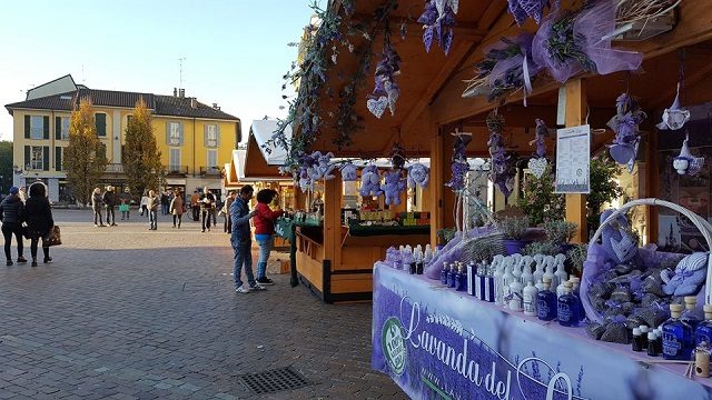trentino piazza gallarate