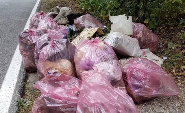 profughi puliscono boschi