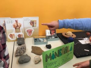 besnate bilancio scuola