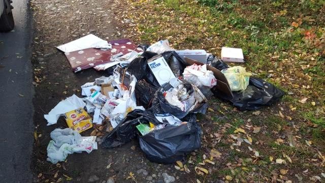 legnano rifiuti discarica abusiva