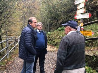 busto antonelli candidato