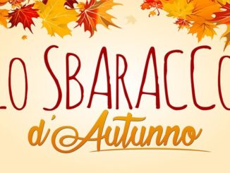 gallarate sbaracco autunno