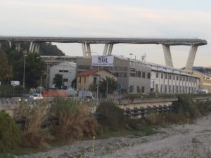 genova morandi busto
