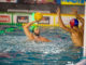 Champions Sport Management Pallanuoto