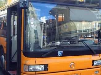 linee corse bus