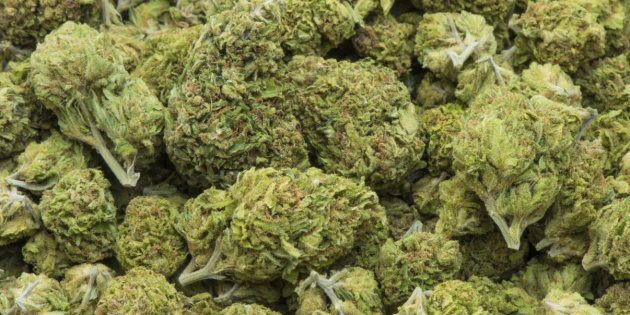 gallarate marijuana spaccio